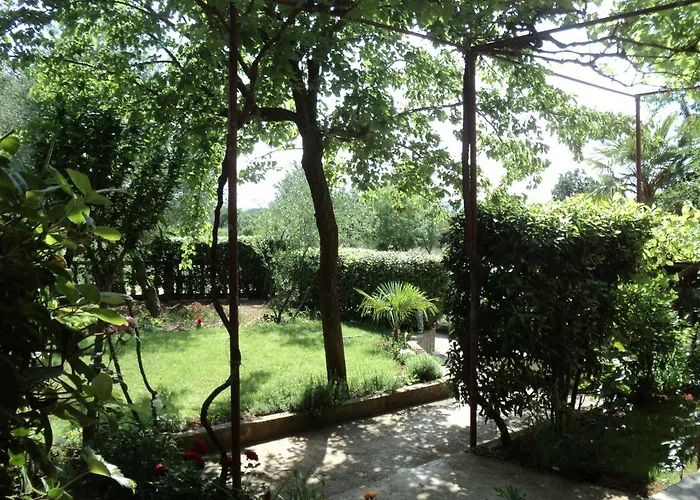 Martina 公寓 比奥格勒·纳·莫鲁